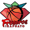 Freseras Irapuato